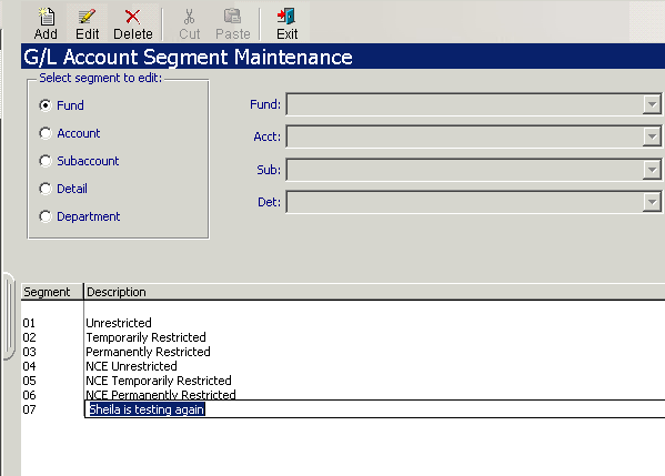 Account Segment Setup 7.png